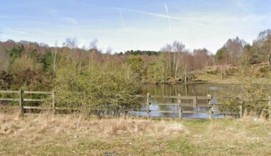 Boy, 13, ‘grabbed by grunting masked man’ while walking through nature reserve | News UK