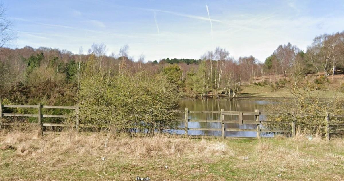 Boy, 13, ‘grabbed by grunting masked man’ while walking through nature reserve | News UK