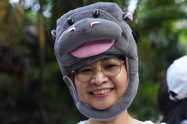A visitor wears a hat of hippo Moo Deng at the Khao Kheow Open Zoo in Chonburi province, Thailand, Thursday, July 10, 2025. (AP Photo/Sakchai Lalit)