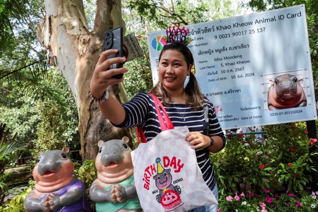 Pattanawadee Kerdchuchuen, 40, Moo Deng's fan from Bangkok, takes a selfie with a poster of Moo Deng's ID card, on the first birthday celebration of a one-year-old female pygmy hippo who became a viral internet sensation last year, at Khao Kheow Open Zoo in Chonburi province, Thailand, July 10, 2025. REUTERS/Chalinee Thirasupa