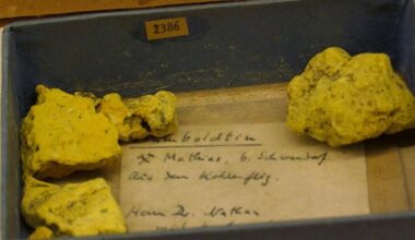 How a dusty old envelope led to discovery of one of world's rarest minerals | News Tech