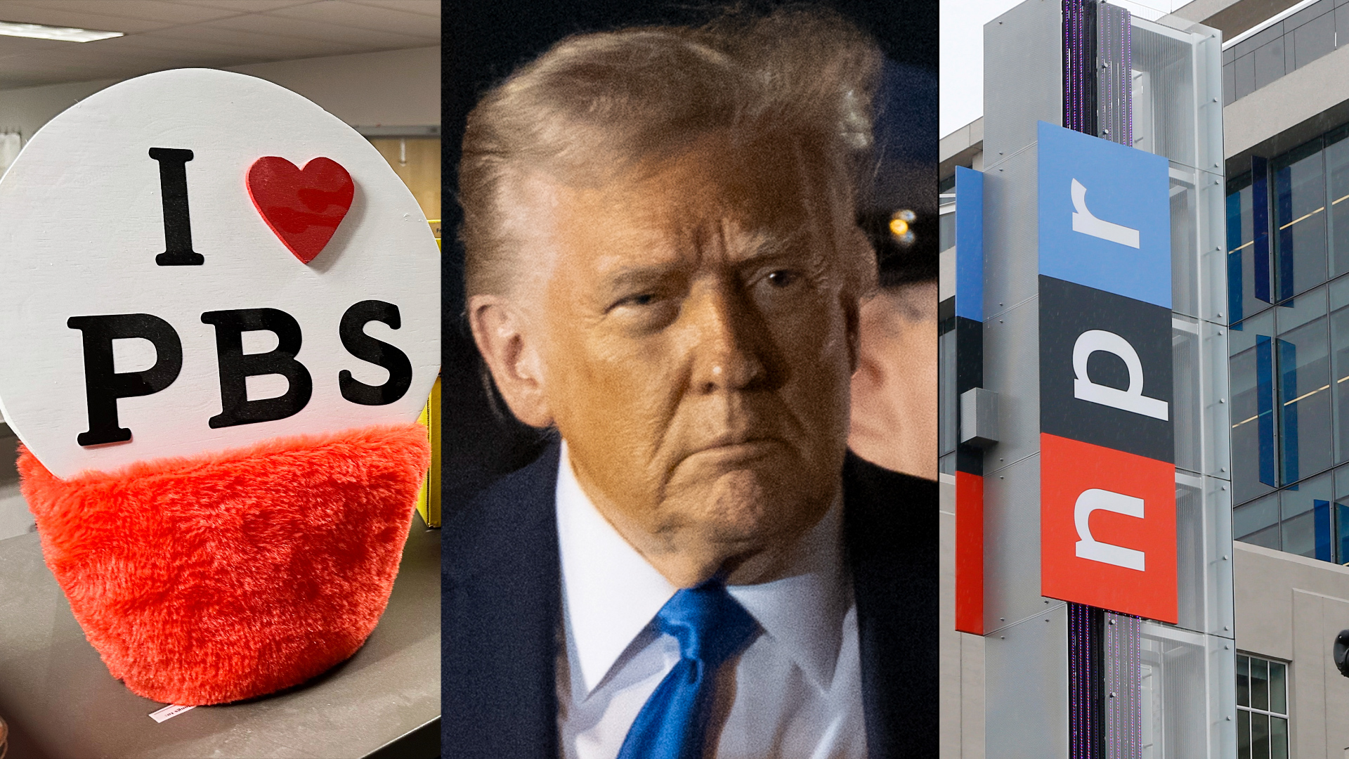 Click to play video: 'Trump signs executive order to halt federal funding to NPR, PBS'