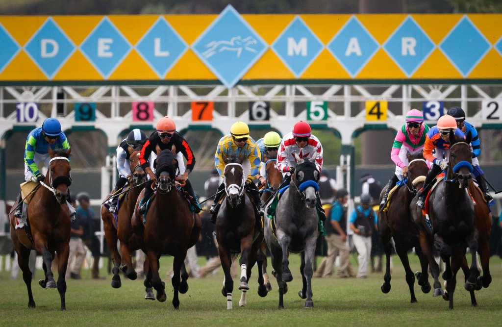As NorCal's horse racing collapses, Del Mar appears to be thriving