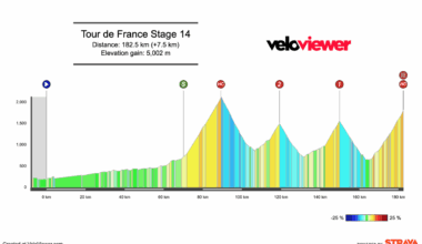 2025 Tour de France Stage 14 Preview