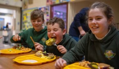 Wrexham.com for people living in or visiting the Wrexham area