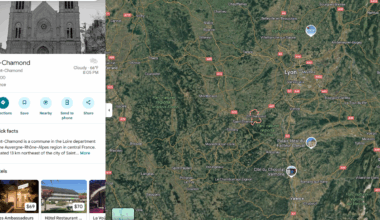 Central France Confirms Second Local Dengue Case — Vax-Before-Travel