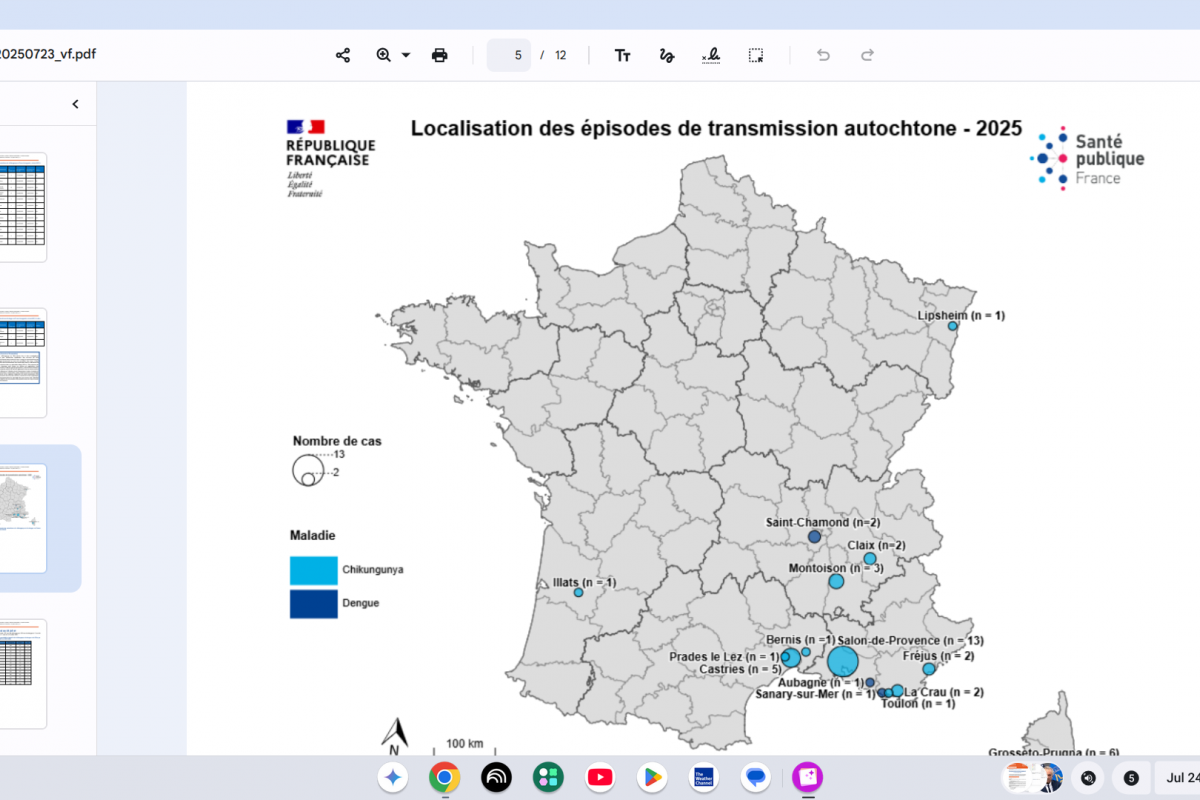 Southern France Confirms 38 Locally-Acquired Chikungunya Cases — Vax-Before-Travel