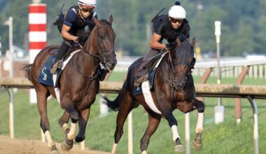 Contenders Get Final Works In Before Next Weekend's Whitney