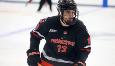Nick Seitz Signs in Sheffield – Sheffield Steelers