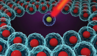 Array of a single cell standing out among single cells