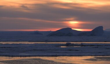 Southern Ocean sea ice