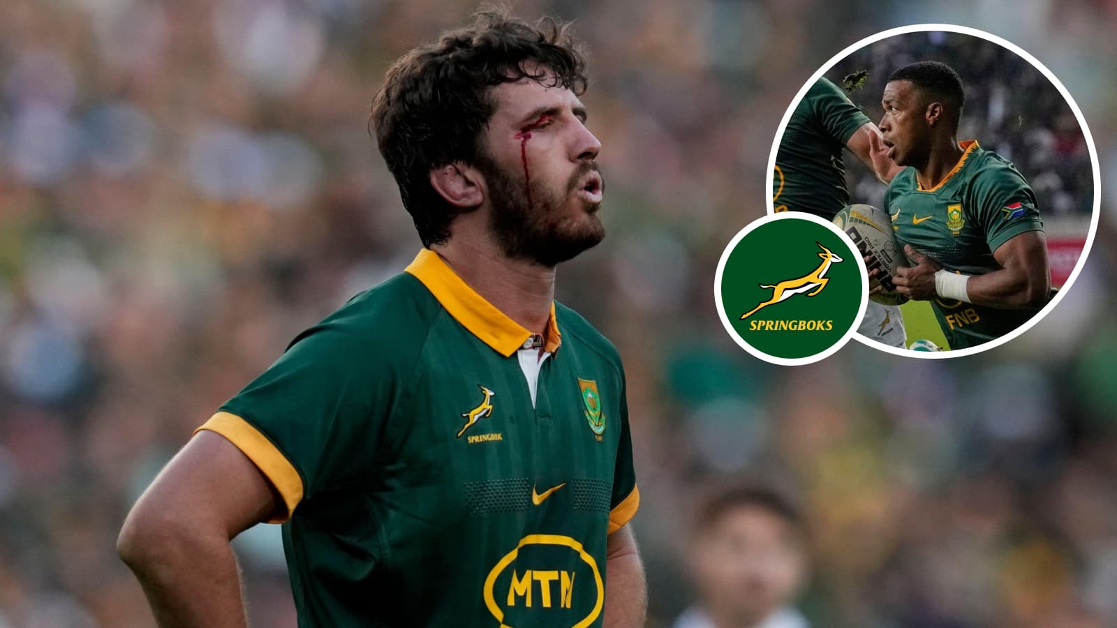 Springboks player ratings: Bomb Squad explodes at Mbombela in big win : Planet Rugby