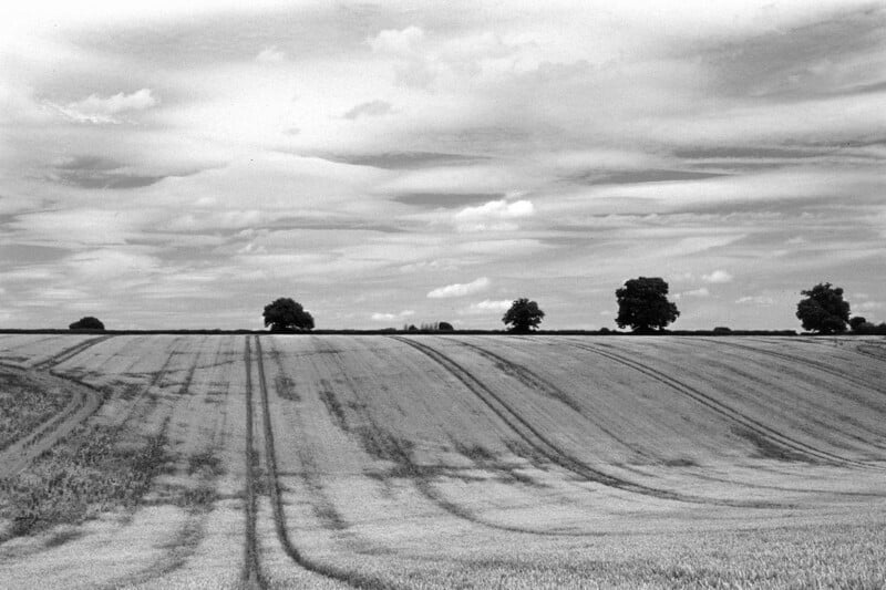 A black and white photo of a gently sloping field with parallel lines in the crops, under a sky with scattered clouds. Five trees are spaced along the horizon.