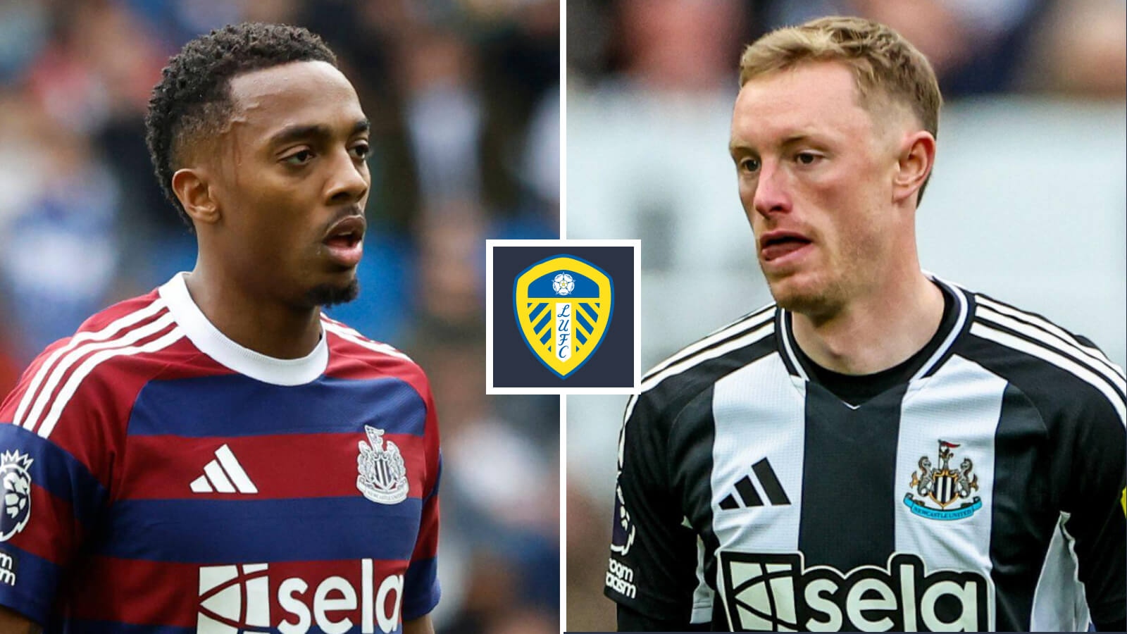Newcastle pair wanted as Farke casts eye over FOUR midfielders