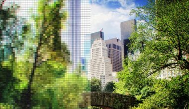 This AI Warps Live Video in Real Time