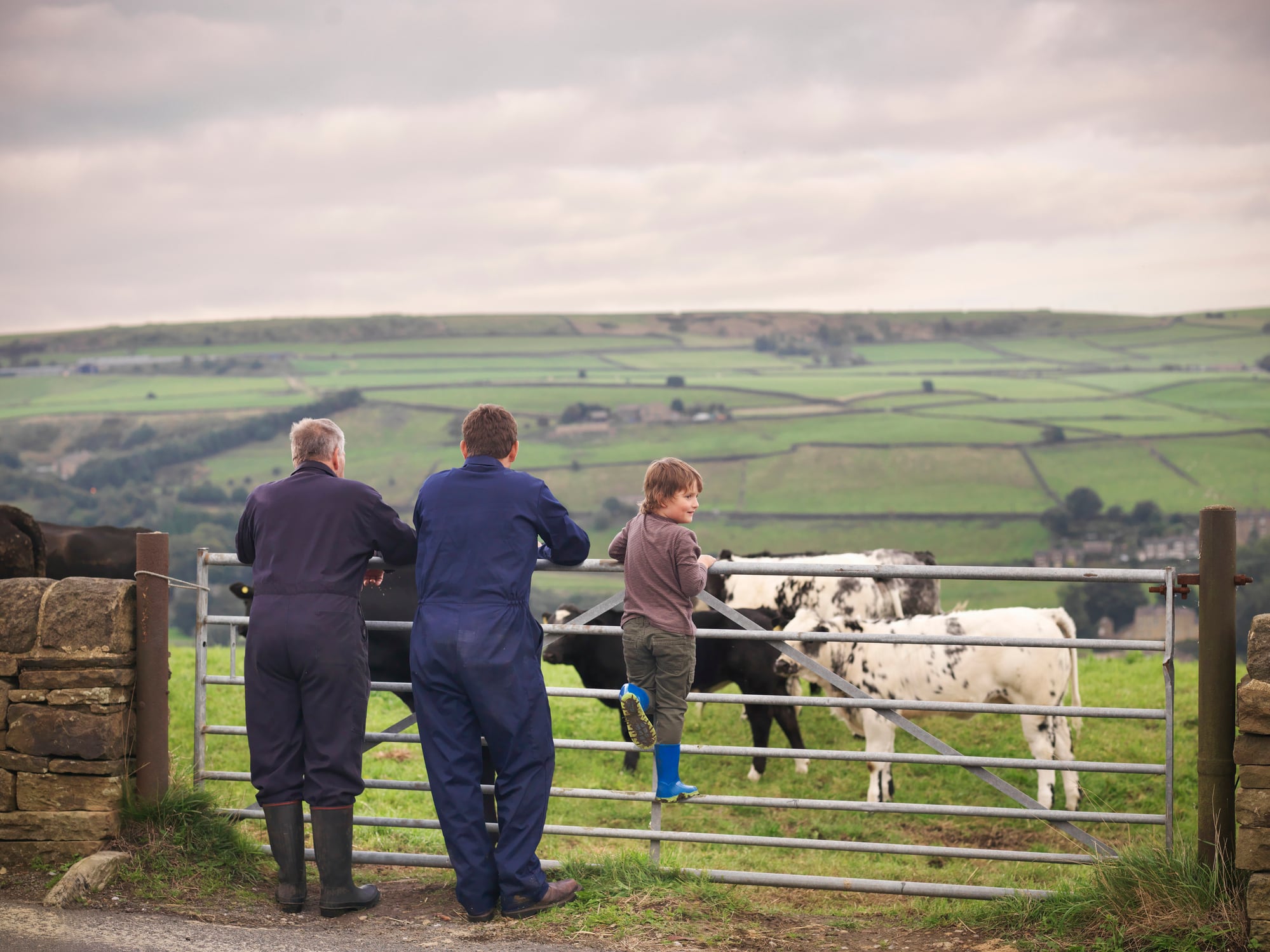 Mature farmer, adult son and grandson leaning on gate to cow field, rear view.