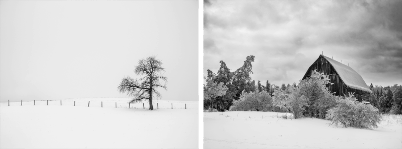 Split black-and-white photo: left side shows a lone tree and fence in a snowy, empty field; right side shows a rustic barn and snow-covered bushes against a cloudy sky.