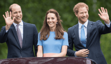Kate Middleton Giving up on Prince William & Prince Harry’s Reunion, 'Source' Claims