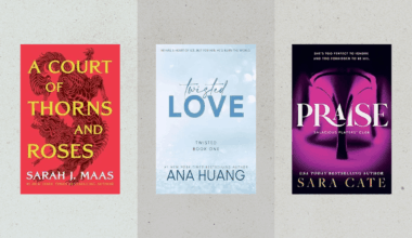 best smut books to buy online