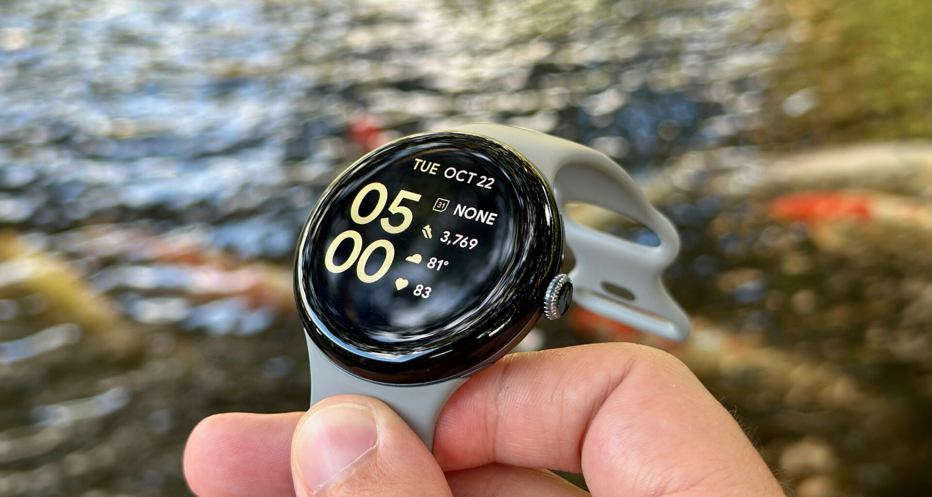 A close up of an info-packed watch face on the Google Pixel Watch 3, held above a pond