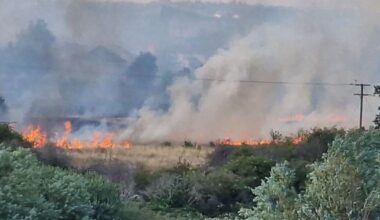 Huge plumes of smoke over London as wildfire ravages country park | News UK
