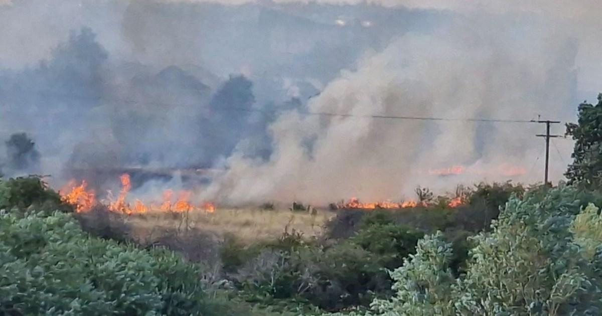 Huge plumes of smoke over London as wildfire ravages country park | News UK