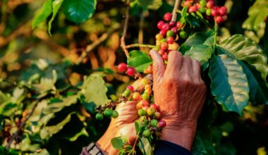 Why Your Morning Coffee Costs More and What You Can Do