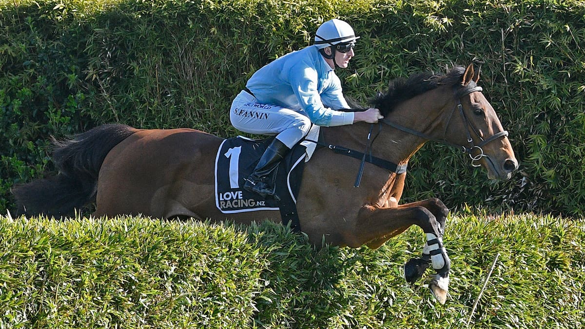 Words of warning as superstar steeplechaser West Coast returns