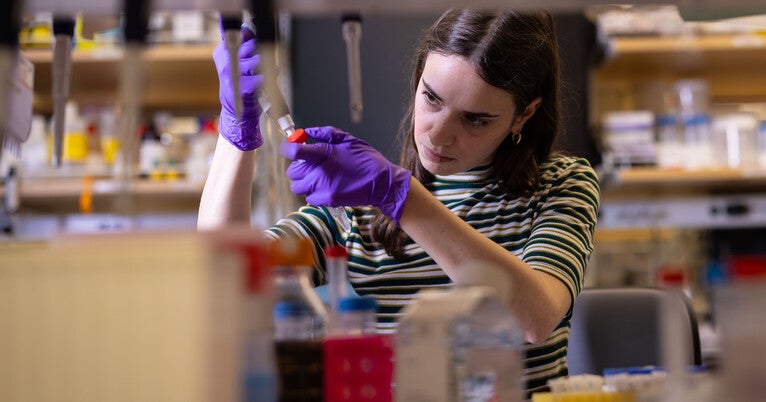 Yale genome engineers expand the reach and precision of human gene editing