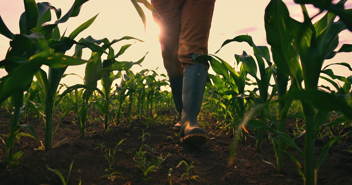 How to attract the next generation of agricultural workers