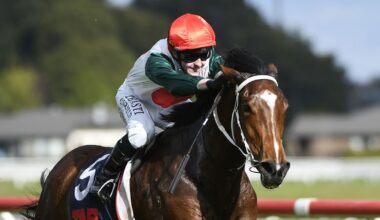Nasty fall at Te Rapa results in four jockeys being taken to hospital