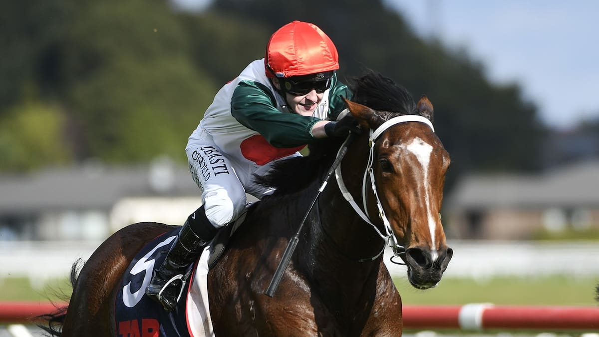 Nasty fall at Te Rapa results in four jockeys being taken to hospital