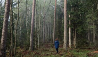 Carbon credits... a hit or miss for Europe’s agtech sector?