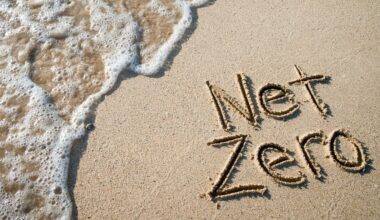 WSC proposes alignment of EU ETS with IMO Net Zero Framework