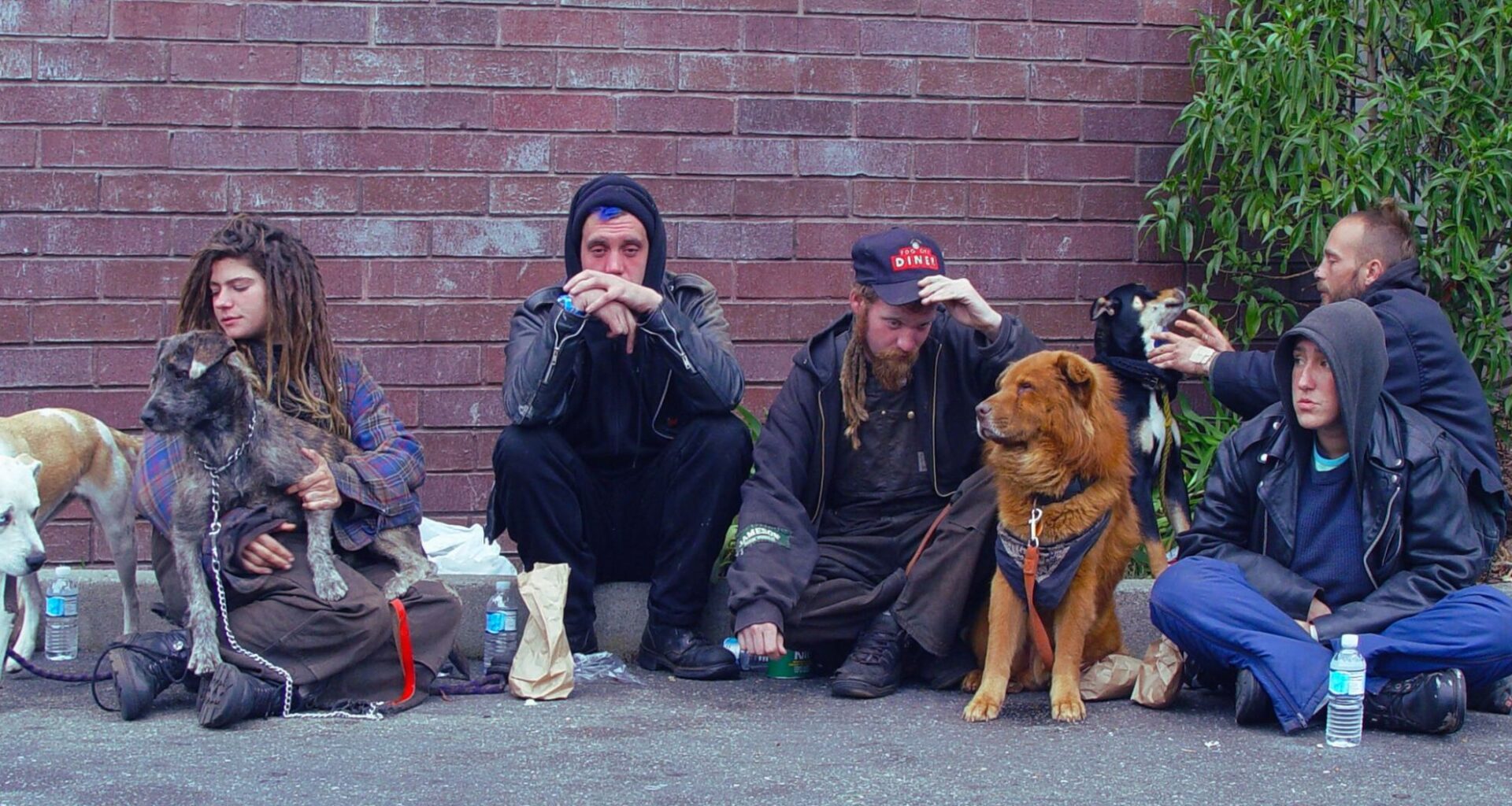 A Group Of Homeless Men And Their Dogs In The Upper Haight
