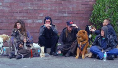 A Group Of Homeless Men And Their Dogs In The Upper Haight