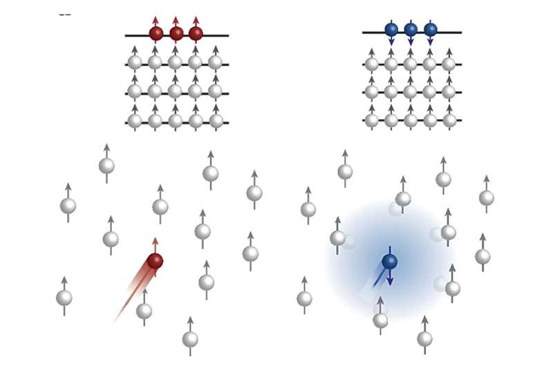 A new mechanism to realize spin-selective transport in tungsten diselenide