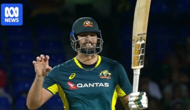 Tim David's record-breaking ton leads Australia to T20 series win over West Indies