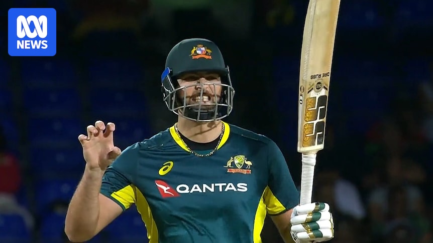 Tim David's record-breaking ton leads Australia to T20 series win over West Indies