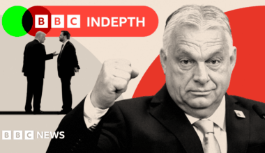 BBC InDepth
