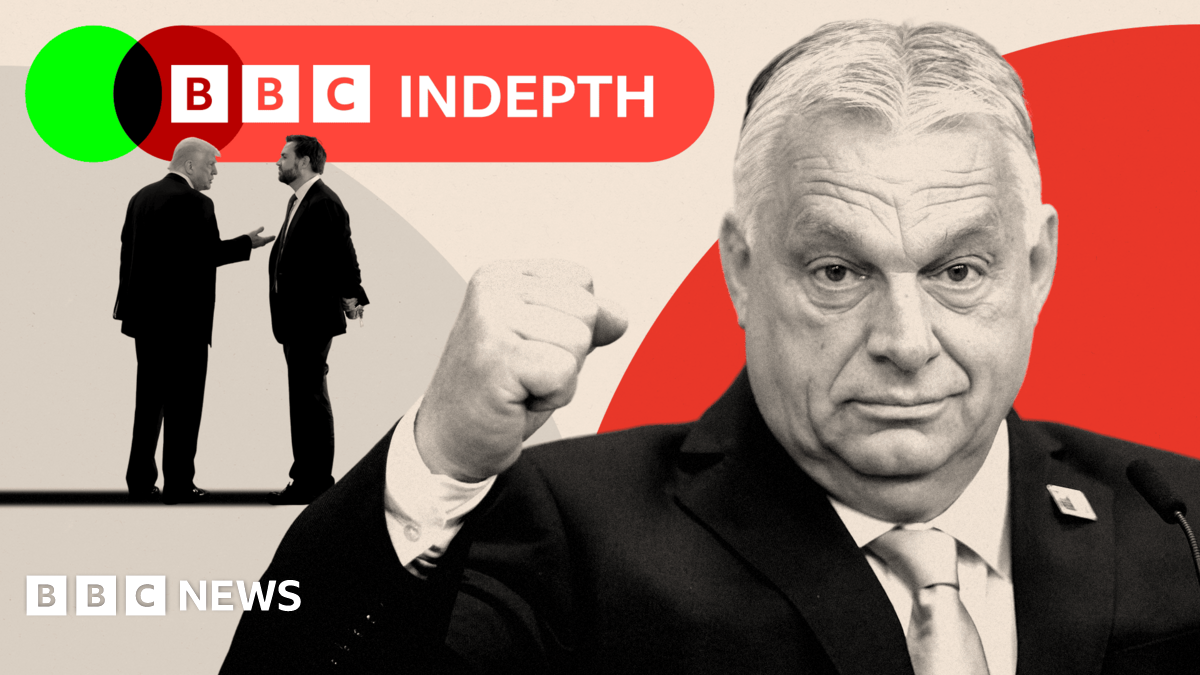 BBC InDepth