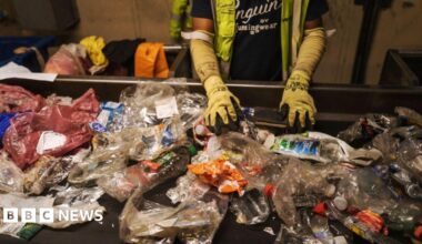 A conveyor belt with dozens of crushed and squashed soft plastics, including bottles and plastic bags. There is a person standing above it with their hands on some of the plastic, wearing thick yellow gloves and a hi-vis jacket