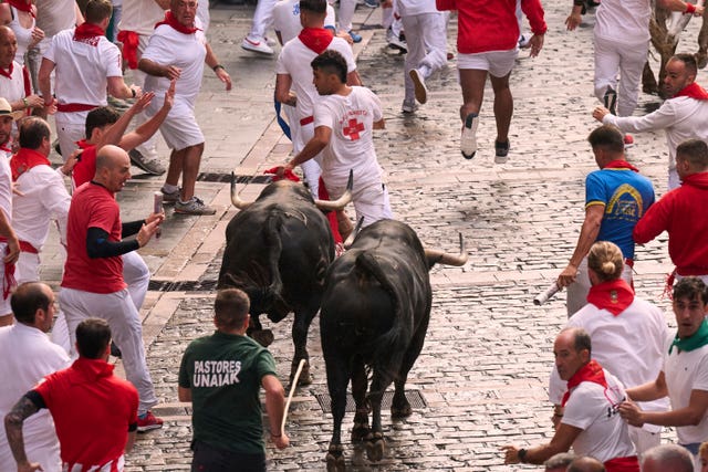 Bulls running amongst people dressed in red