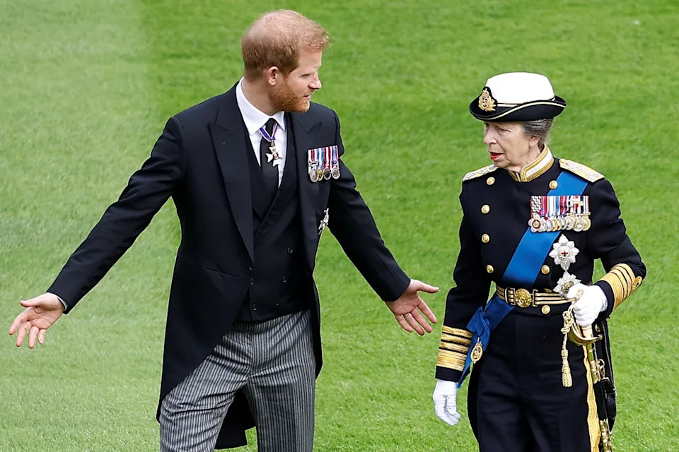 Prince Harry wears a suit with medals attached and spreads his arms out while speaking with Princess Anne, who is dressed in military uniform