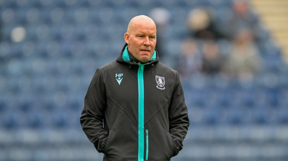 Pedersen has inherited a first-team squad made up of just 15 players