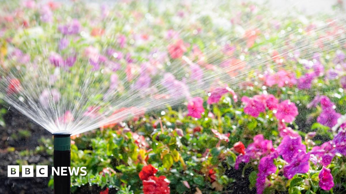 An automatic sprinkler watering a bed of flowers in bright sunshine.