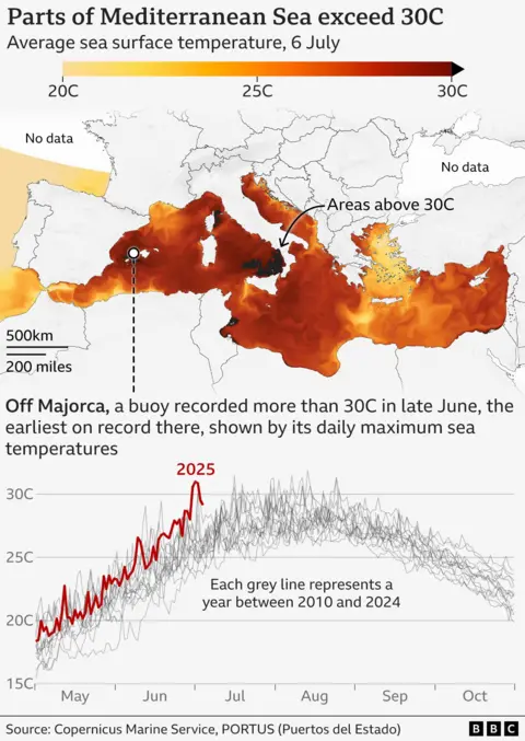 Map showing the average sea surface temperature across the Mediterranean Sea on 6 July. Some areas exceeded 30C on 6 July, marked by dark reds off the coast of Majorca and south-west Italy. Below the map is a graph showing daily sea temperature highs from a measurement buoy off Majorca. Temperatures exceeded 30C in late June, the earliest date on record to pass that mark. 