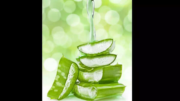 Aloe vera benefits