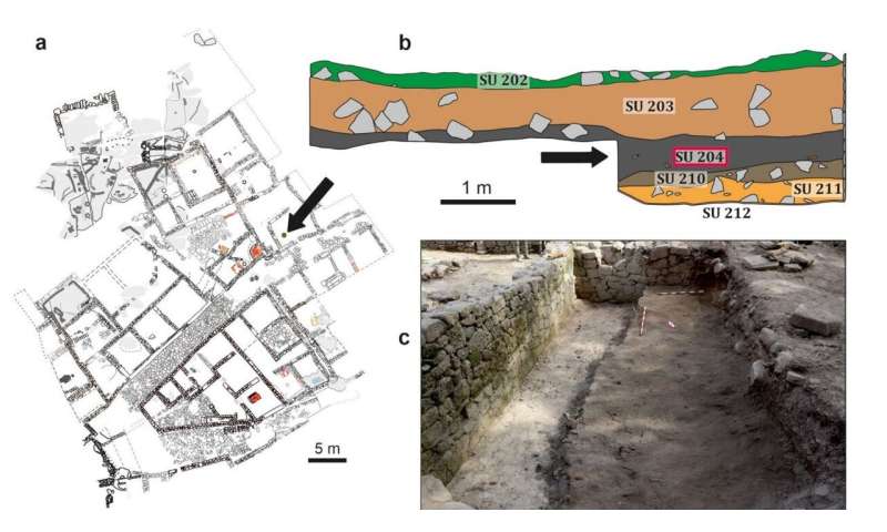 Ancient Romans likely used extinct sea creature fossils as amulets, suggests recent archeological evidence