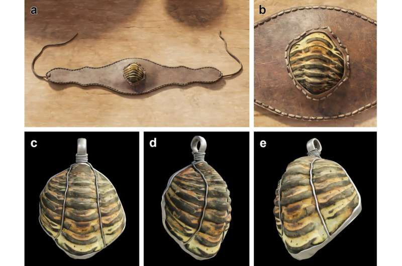 Ancient Romans likely used extinct sea creature fossils as amulets, suggests recent archeological evidence